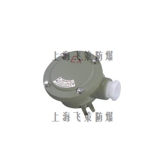 AH防爆接線盒 AH防爆接線盒